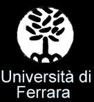 Universita di
                    Ferrara