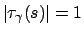 $\vert\tau _\gamma (s)\vert=1$