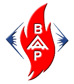 BAAP - via G. Galilei, 2/I - Selvazzano (PD)